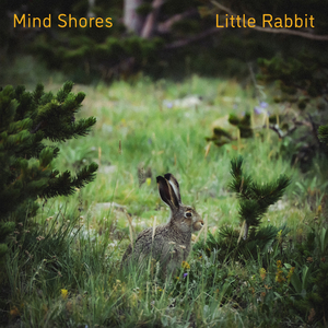 厨房猛烈撞击丝袜人妻
