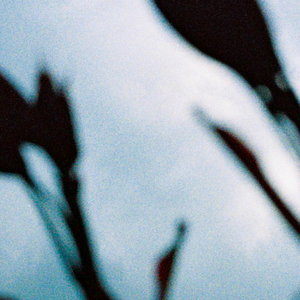 大棚女裸体舞视频大全
