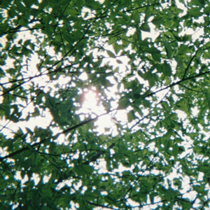 宋雨琦被调教出奶水的视频
